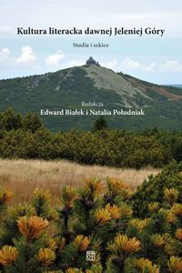 Literaturoznawstwo - Edward Białek, Natalia Południak [KSIĄŻKA]