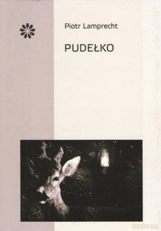 Pudełko - Piotr Lamprecht [KSIĄŻKA]