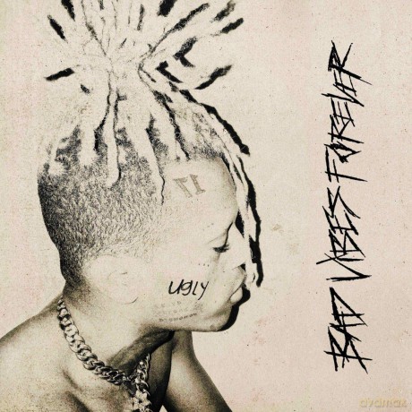 Bad Vibes Forever [CD]