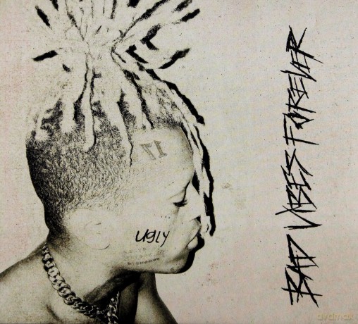 Bad Vibes Forever [CD]