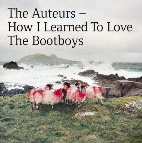 How I Learned To Love The Bootboys [Winyl]