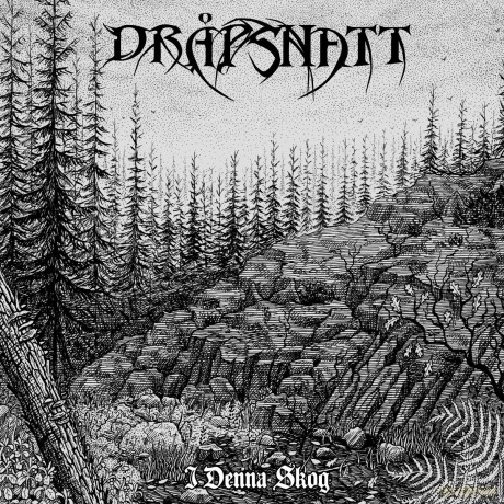 I Denna Skog (Coloured) [Winyl]