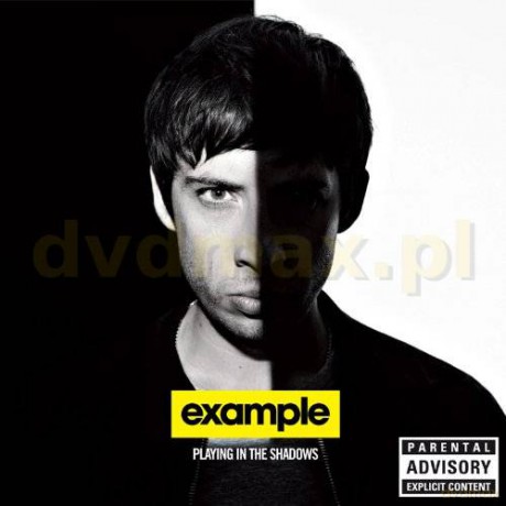 Example: Playing In The Shadow [CD]