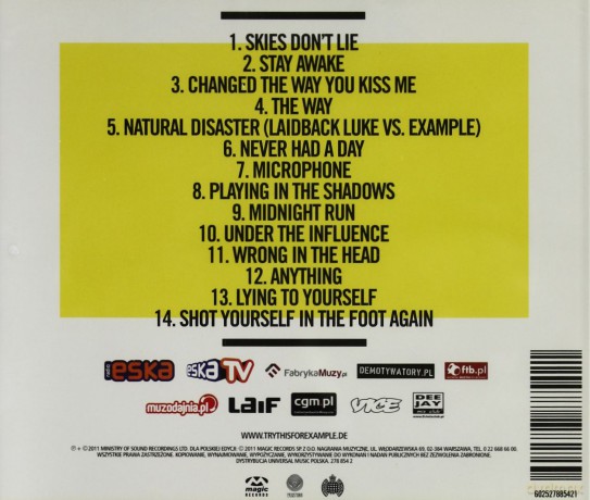Example: Playing In The Shadow [CD]