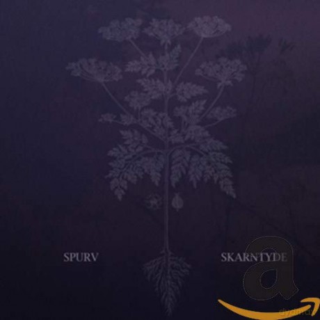 Skarntyde [CD]