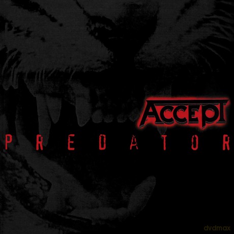 Accept: Predator [Winyl]