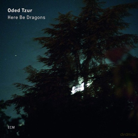 Oded Tzur: Here Be Dragons [Winyl]