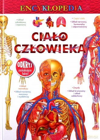 Ciało człowieka. Encyklopedia [KSIĄŻKA]
