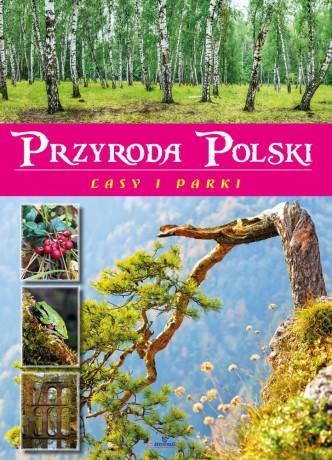 Przyroda Polski. Lasy i parki - Żaneta Zając [KSIĄŻKA]