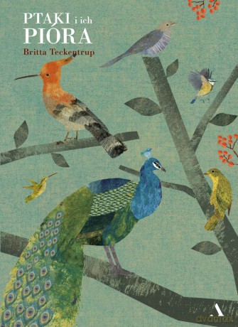 Ptaki i ich pióra - Britta Teckentrup [KSIĄŻKA]