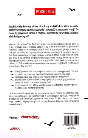 Relacje nad przepaścią. Jak je naprawić lub kiedy warto z nich zrezygnować - Ilse Sand [KSIĄŻKA]