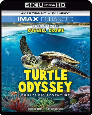 Turtle Odyssey [Blu-Ray 4K]+[Blu-Ray]