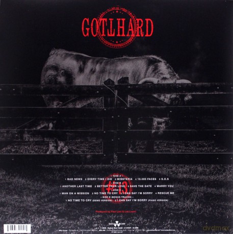 Gotthard: #13 [2xWinyl]