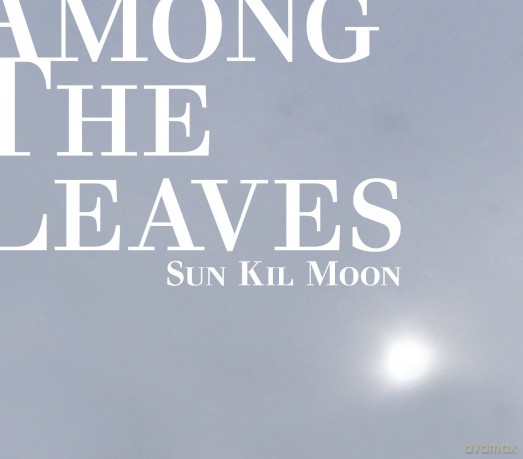 Sun Kil Moon: Among The Leaves [CD]