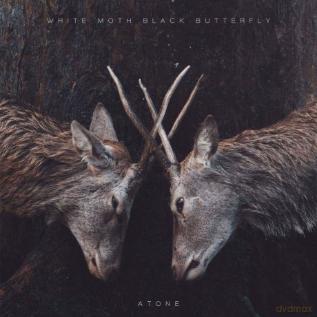 White Moth Black Butterfly: Atone (Expanded) [CD]