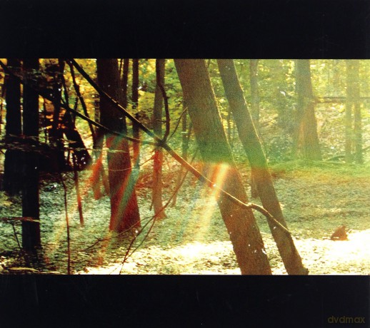 Childish Gambino: Camp [CD]