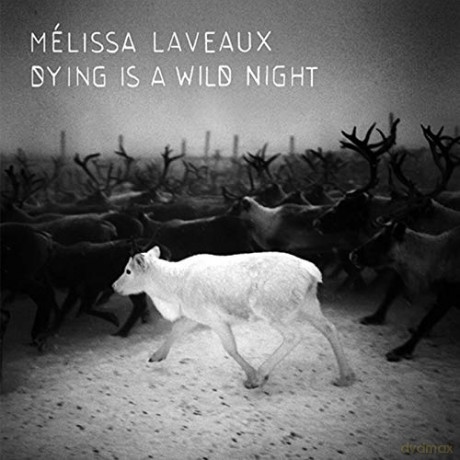 Melissa Laveaux: Dying Is A Wild Night [CD]