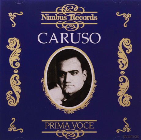 Enrico Caruso: Enrico Caruso In Opera Vol. 1 1904-1920 [CD]