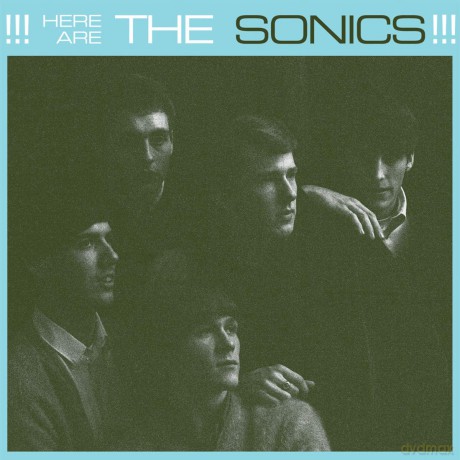 Sonics: Here Are The Sonics [Winyl]