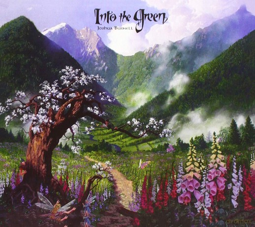 Burnell Joshua: Into The Green [CD]