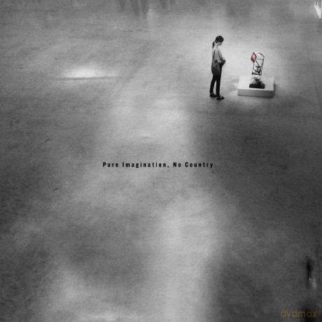 Dave Harrington Group: Pure Imagination. No Country [Winyl]