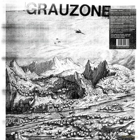Grauzone: Raum [Winyl]