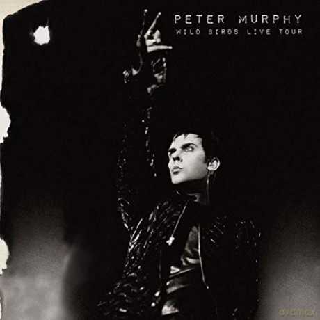 Peter Murphy: Wild Birds Live Tour [Winyl]