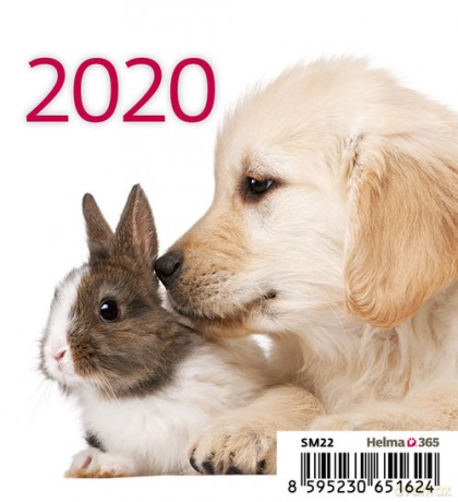 Kalendarz biurkowy Mini Przyjaciele 2020 10 sztuk [KALENDARZ]