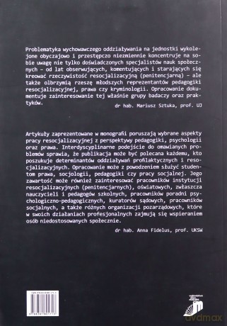 Nowe perspektywy rozwoju pedagogiki resocjalizacyjnej - Anita Kotlenga [KSIĄŻKA]