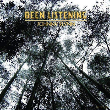 Johnny Flynn: Been Listening [Winyl]