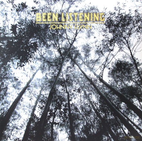 Johnny Flynn: Been Listening [Winyl]