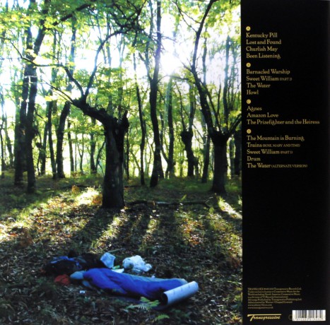 Johnny Flynn: Been Listening [Winyl]