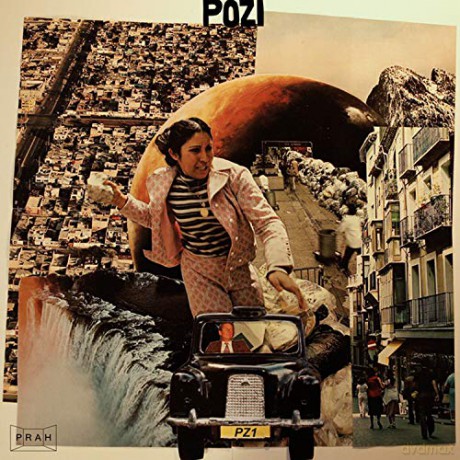 Pozi: Pz1 [Winyl]
