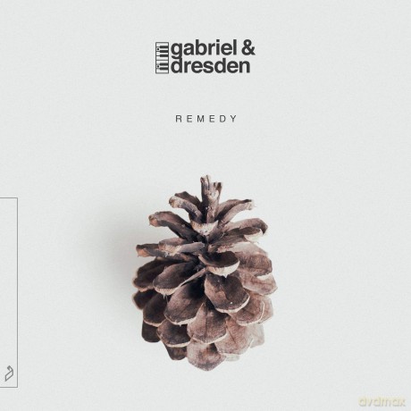 Gabriel & Dresden: Remedy [CD]