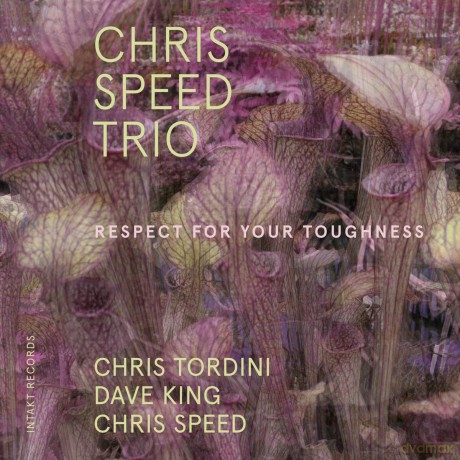 Chris Speed Trio: Respect For Your Toughness [CD]