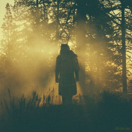 Thundercat: The Beyond / Where The Giants Roam [Winyl]