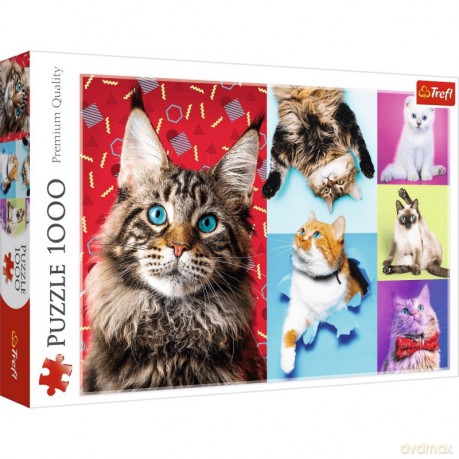 TREFL 1000 el. Wesołe koty [PUZZLE]
