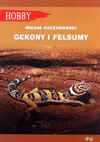 Gekony i felsumy - Michał Kaczorowski [KSIĄŻKA]