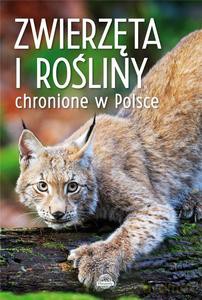 Zwierzęta i rośliny chronione w Polsce - Izabella Sieńko-Holewa, Sylwia Weber [KSIĄŻKA]