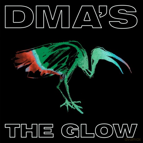 Dma's: The Glow [CD]