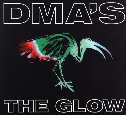 Dma's: The Glow [CD]