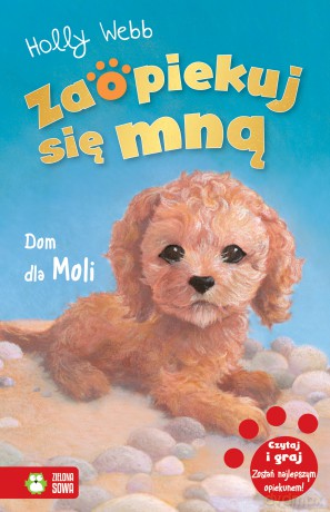 Dom dla Moli. Zaopiekuj się mną - Holly Webb [KSIĄŻKA]