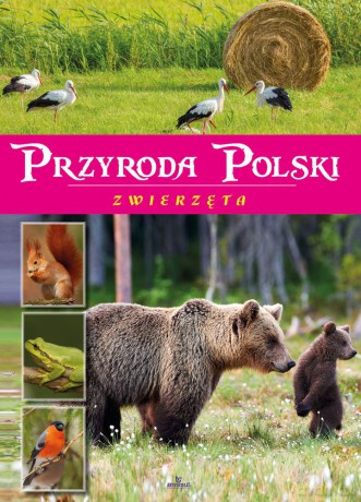 Przyroda Polski. Zwierzęta - Żaneta Zając [KSIĄŻKA]