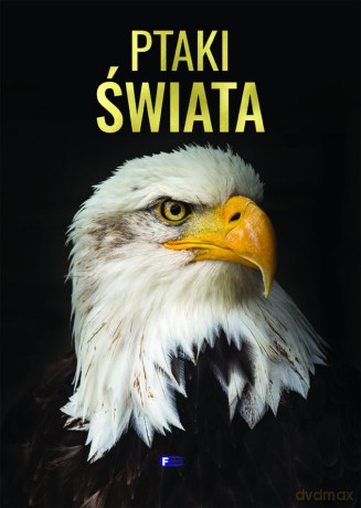 Ptaki świata [KSIĄŻKA]