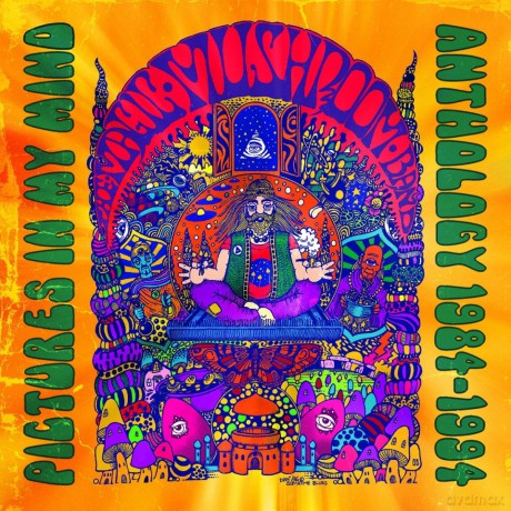 Magic Mushroom Band: Pictures In My Mind Anthology 1984 1994 [2CD]
