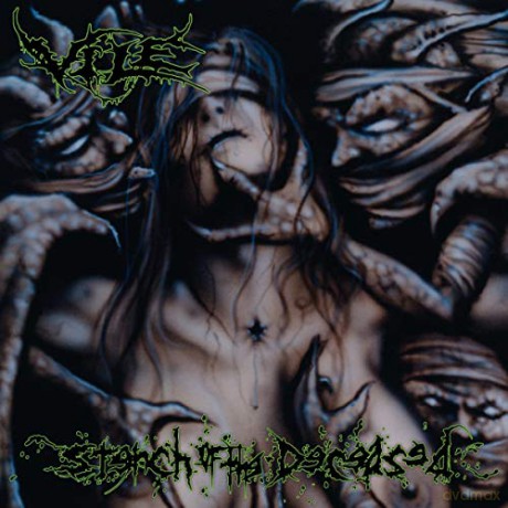 Vile: Stench Of The Deceased [Winyl]