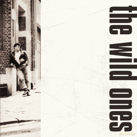 Wild Ones: The Wild Ones [CD]