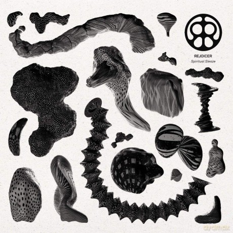 Rejoicer: Spiritual Sleaze [Winyl]