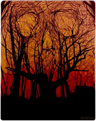 Friday the 13th (Piątek trzynastego) (steelbook) [Blu-Ray]
