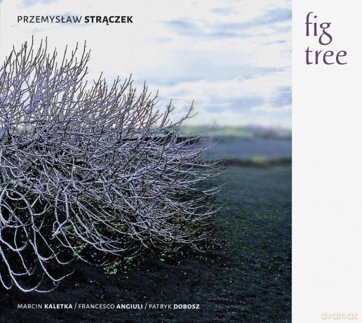 Przemysław Strączek Quartet: Fig Tree [CD]